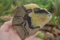 Polished Septaria (Calcite & Aragonite) Slices  x 6 From Mahajanga, Madagascar - TopRock