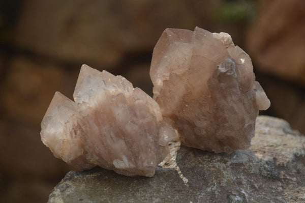 Natural Smokey Phantom Quartz Clusters x 12 From Luena, Congo