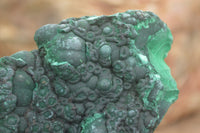 Natural Botryoidal Fibrous Malachite Specimens  x 6 From Kasompe, Congo - TopRock