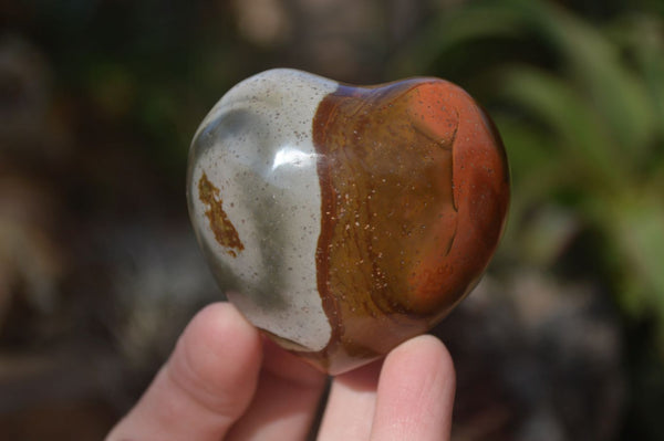 Polished Polychrome Jasper Hearts  x 12 From Madagascar