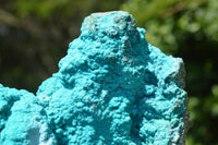 Natural Bright Blue Botryoidal Chrysocolla Specimens x 2 From Lupoto, Congo - TopRock