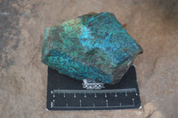 Natural Rough Shattuckite With Malachite & Cuprite Specimens  x 6 From Kaokoveld, Namibia - Toprock Gemstones and Minerals 