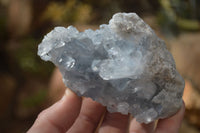 Natural Blue Celestite Crystal Specimens  x 6 From Sakoany, Madagascar