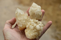 Natural Pineapple/Candle Quartz Clusters  x 14 From Madagascar - TopRock