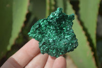 Natural Chatoyant Silky Malachite Specimens  x 6 From Kasompe, Congo