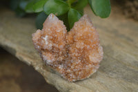 Natural Small Mixed Spirit Quartz Clusters  x 20 From Boekenhouthoek, South Africa - Toprock Gemstones and Minerals 