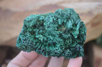 Natural Chatoyant Silky Malachite Specimens  x 4 From Congo