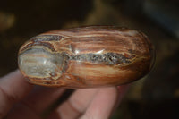 Polished Petrified Podocarpus Wood Hearts x 4 From Mahajanga, Madagascar