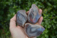 Polished Banded River Agate Nodules  x 6 From Sashe River, Zimbabwe - Toprock Gemstones and Minerals 