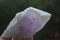 Natural Large Jacaranda Amethyst Crystals  x 6 From Zambia - Toprock Gemstones and Minerals 