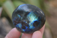 Polished Flashy Labradorite Palm Stones  x 12 From Tulear, Madagascar