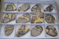 Polished Septerye Free Form Slices   x 12 From Mahajanga, Madagascar - Toprock Gemstones and Minerals 