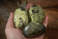 Polished  Spotted Leopard Stone Gallets  x 6 From Zimbabwe