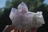 Natural Jacaranda Amethyst Clusters  x 3 From Mumbwa, Zambia - Toprock Gemstones and Minerals 