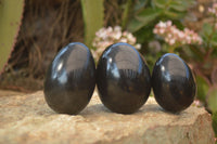 Polished  Black Basalt Gemstone Eggs x 6 From Antsirabe, Madagascar