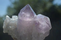 Natural Jacaranda Amethyst Clusters  x 3 From Mumbwa, Zambia - Toprock Gemstones and Minerals 