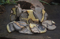 Polished Septerye Free Form Slices   x 12 From Mahajanga, Madagascar - Toprock Gemstones and Minerals 