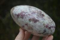 Polished Pink Tourmaline / Rubellite In Matrix Standing Free Form x 1 From Ambatondrazaka, Madagascar - Toprock Gemstones and Minerals 