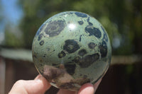 Polished Stromatolite / Kambamba Jasper Spheres  x 2 From Madagascar - TopRock