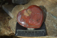 Polished Petrified Podocarpus Wood Hearts x 4 From Mahajanga, Madagascar