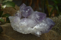 Natural Jacaranda Amethyst Clusters x 2 From Mumbwa, Zambia - TopRock