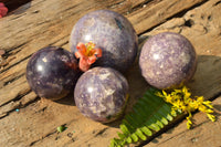 Polished Lovely Purple Lepidolite Spheres  x 4 From Madagascar - TopRock