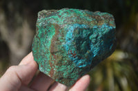 Natural Rough Shattuckite With Malachite & Cuprite Specimens  x 6 From Kaokoveld, Namibia - Toprock Gemstones and Minerals 