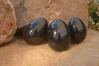 Polished  Black Basalt Gemstone Eggs x 6 From Antsirabe, Madagascar