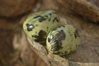 Polished  Spotted Leopard Stone Gallets  x 6 From Zimbabwe