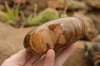 Polished Large Petrified Red Podocarpus Wood Hearts  x 2 From Mahajanga, Madagascar - TopRock