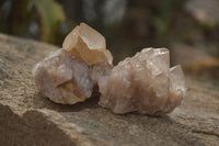 Natural Smokey Phantom Quartz Clusters x 12 From Luena, Congo