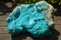 Natural Bright Blue Botryoidal Chrysocolla Specimens x 2 From Lupoto, Congo - TopRock