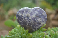 Polished Purple Lepidolite  Hearts  x 6 From Madagascar - Toprock Gemstones and Minerals 