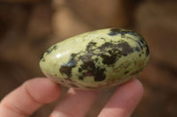 Polished  Spotted Leopard Stone Gallets  x 6 From Zimbabwe