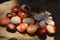 Polished Stunning Selection Of Carnelian Agate Palm Stones  x 20 From Madagascar - TopRock