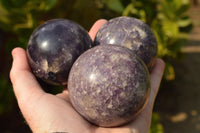 Polished Lovely Purple Lepidolite Spheres  x 4 From Madagascar - TopRock