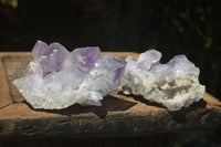 Natural Jacaranda Amethyst Clusters x 2 From Mumbwa, Zambia - TopRock