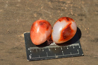 Polished Beautiful Selection Of Carnelian Agate Eggs  x 20 From Madagascar - TopRock