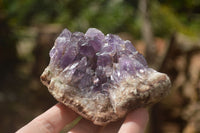 Natural Amethyst & Crystal Centred Geodes  x 12 From Zululand, South Africa - TopRock