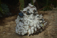 Natural Large Fluorescent Hyalite Opal Specimen With Schorl & Smokey Quartz  x 1 From Erongo, Namibia