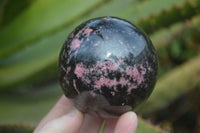 Polished Rhodonite Spheres x 2 From Ambindavato, Madagascar