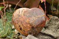 Polished Large Petrified Red Podocarpus Wood Hearts  x 2 From Mahajanga, Madagascar - TopRock