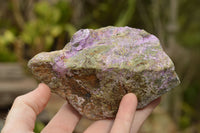 Natural Rough Stichtite / Atlantisite Specimens  x 3 From Tshipies, South Africa - TopRock