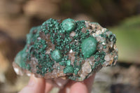 Natural Rare Ball Malachite On Drusy Quartz & Dolomite Specimens x 6 From Kambove, Congo