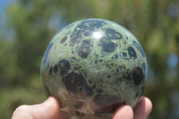 Polished Stromatolite / Kambamba Jasper Spheres  x 2 From Madagascar - TopRock