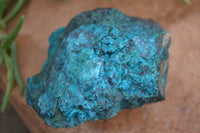 Natural Rough Shattuckite With Malachite & Cuprite Specimens  x 6 From Kaokoveld, Namibia - Toprock Gemstones and Minerals 