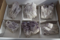 Natural Sugar Amethyst Clusters  x 6 From Solwezi, Zambia