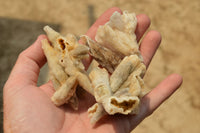 Natural Drusi Quartz Coated Calcite Pseudomorph Specimens  x 12 From Alberts Mountain, Lesotho - TopRock