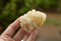 Natural Pineapple/Candle Quartz Clusters  x 14 From Madagascar - TopRock