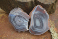 Polished Banded River Agate Nodules  x 6 From Sashe River, Zimbabwe - Toprock Gemstones and Minerals 